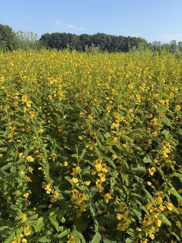 N4227 Christopher Road, Rio, WI 53960