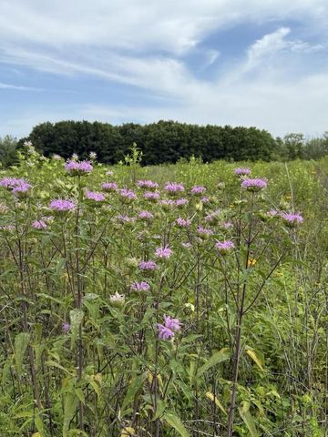 N4227 Christopher Road, Rio, WI 53960