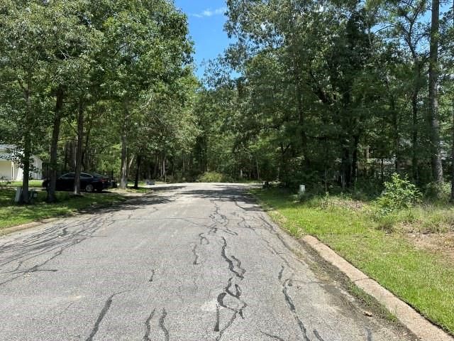 28617 Rantoul Court, Huntsville, TX 77320