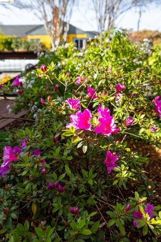 409 Pershing Dr, San Leandro, CA 94577