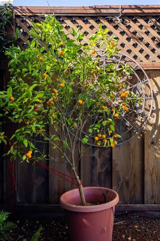 409 Pershing Dr, San Leandro, CA 94577