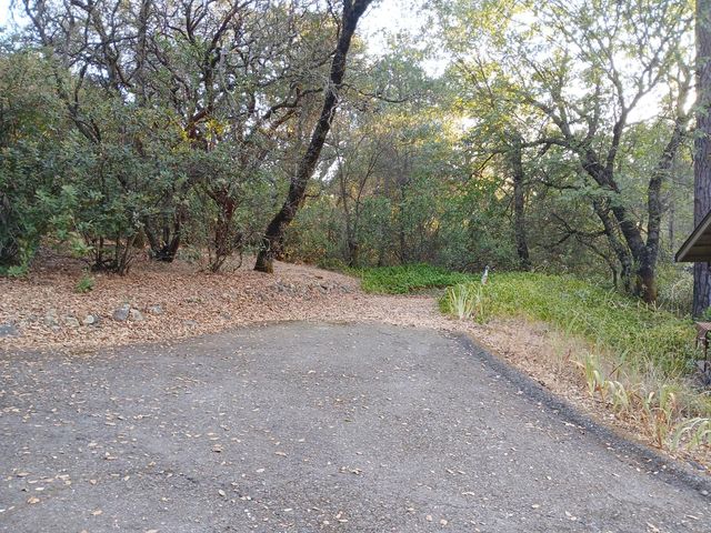 20090 N Quartz Mountain Rd, Fiddletown, CA 95629