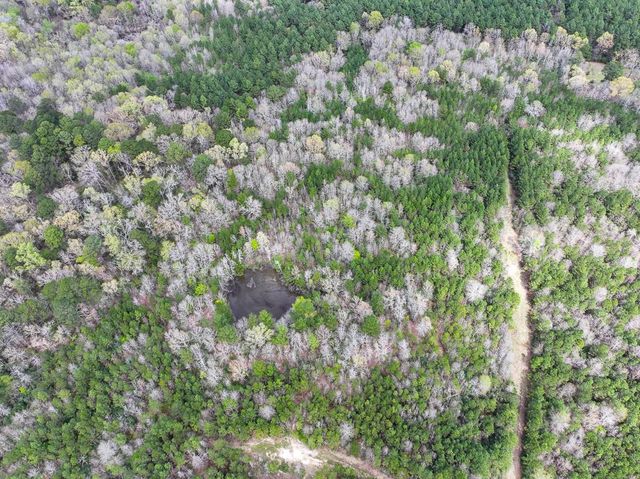 4 Eugene Walker Road, Huntington, TX 75980