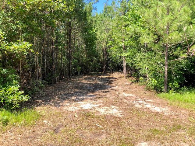 4 Eugene Walker Road, Huntington, TX 75980