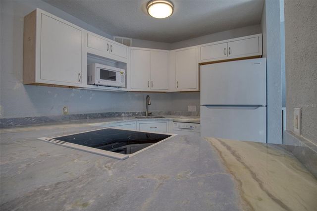 3315 58TH AVENUE S 112, St Petersburg, FL 33712