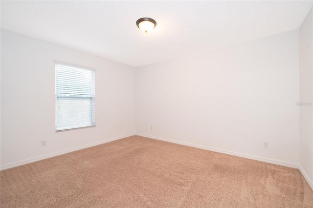 891 CAVAN DRIVE, Apopka, FL 32703