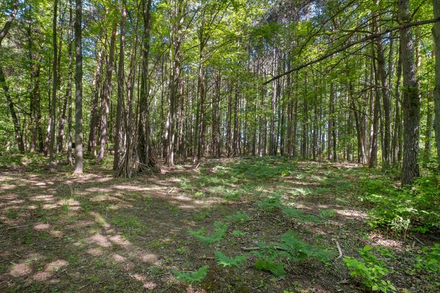 15635 Stanton Street, Port Sheldon Twp, MI 49460