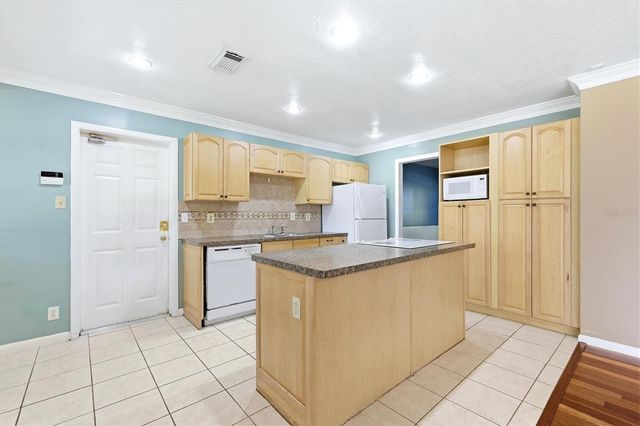 13808 CHERRY BROOK LANE, Tampa, FL 33618