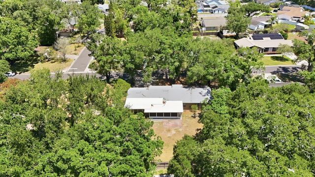 13808 CHERRY BROOK LANE, Tampa, FL 33618