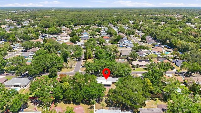13808 CHERRY BROOK LANE, Tampa, FL 33618