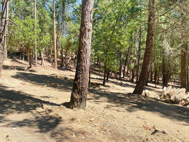 939 Beaver Creek Road, Jacksonville, OR 97530