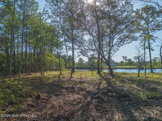 13035 Enciente Point Drive, Kiln, MS 39556