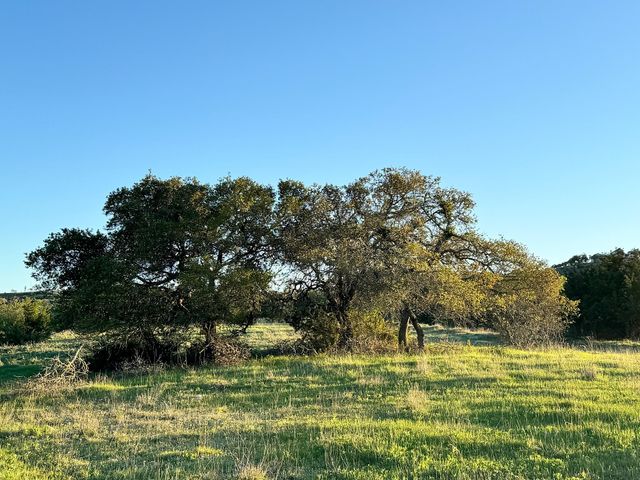 105 Majestic Hills, Blanco, TX 78606