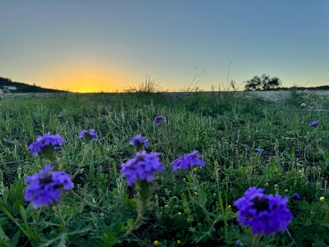 105 Majestic Hills, Blanco, TX 78606