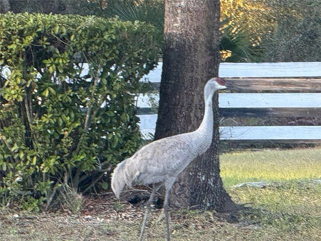 33015 SAHARA COURT, Sorrento, FL 32776