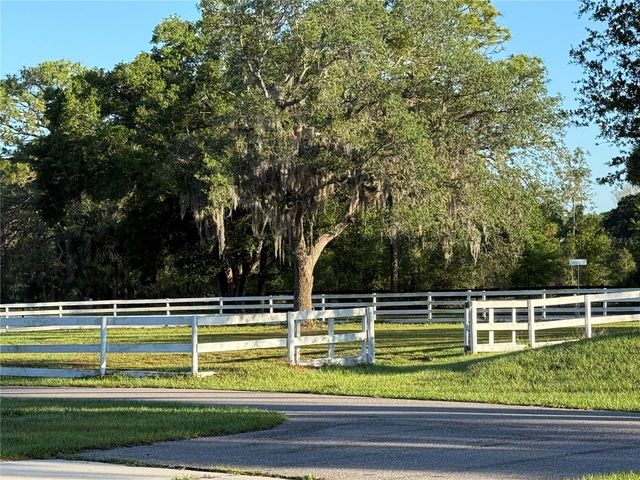 33015 SAHARA COURT, Sorrento, FL 32776