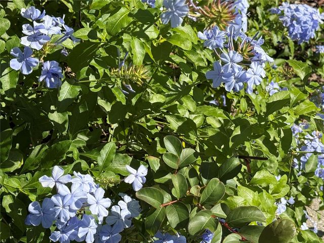 33015 SAHARA COURT, Sorrento, FL 32776