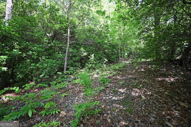 LOT 3 The Ridges, Hiawassee, GA 30546