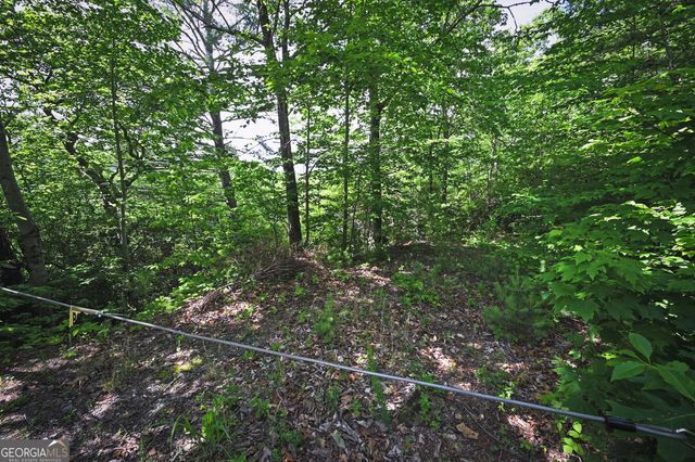 LOT 3 The Ridges, Hiawassee, GA 30546