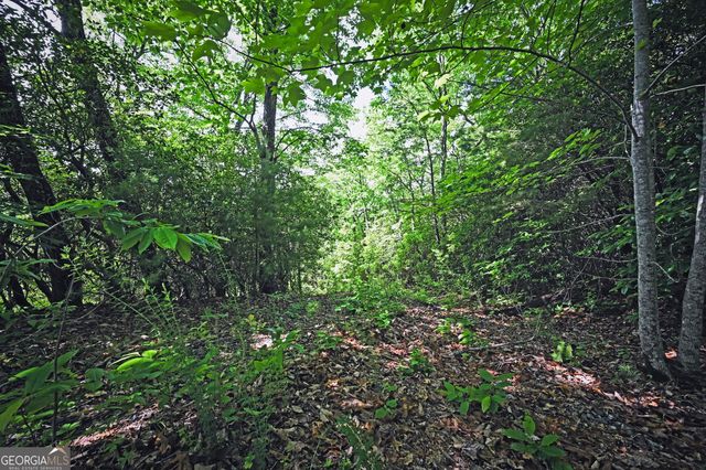 LOT 3 The Ridges, Hiawassee, GA 30546