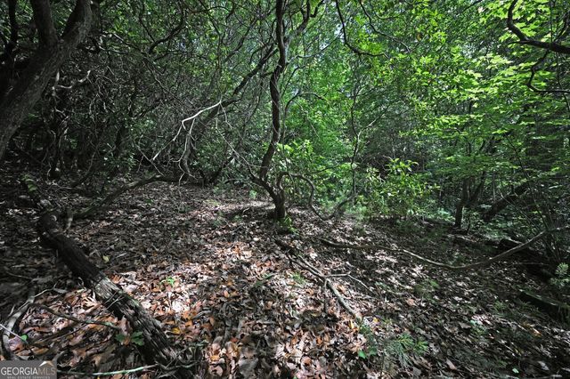 LOT 3 The Ridges, Hiawassee, GA 30546