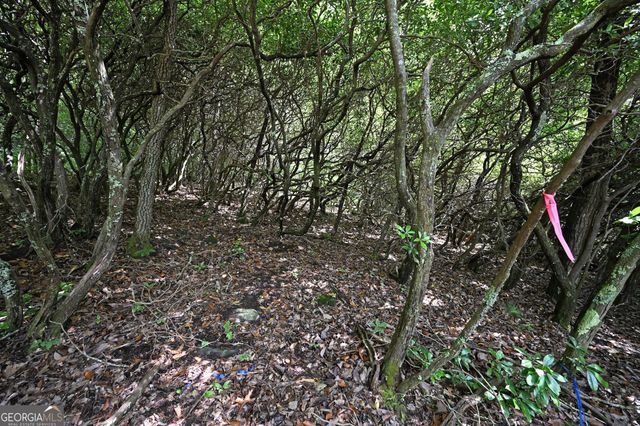 LOT 3 The Ridges, Hiawassee, GA 30546