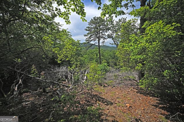 LOT 3 The Ridges, Hiawassee, GA 30546