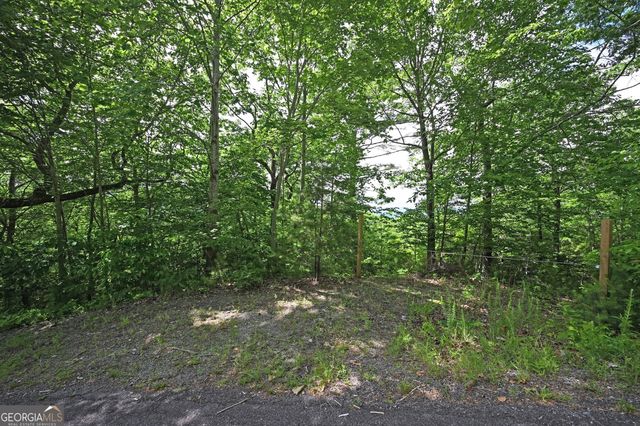 LOT 3 The Ridges, Hiawassee, GA 30546