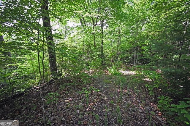 LOT 3 The Ridges, Hiawassee, GA 30546