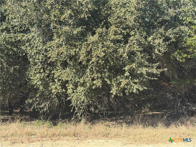 5982 Buggy Ride Road, Temple, TX 76502