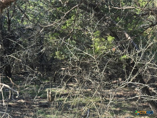 5982 Buggy Ride Road, Temple, TX 76502