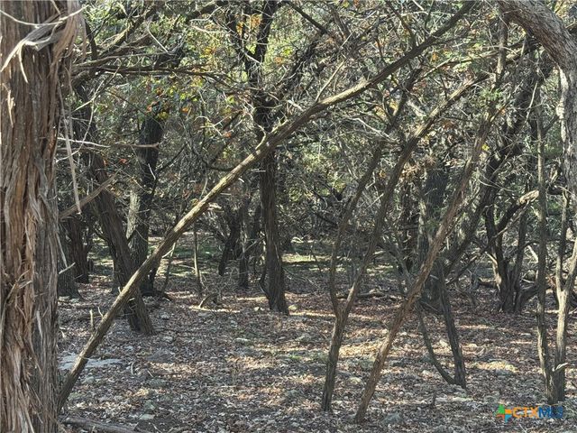 5982 Buggy Ride Road, Temple, TX 76502