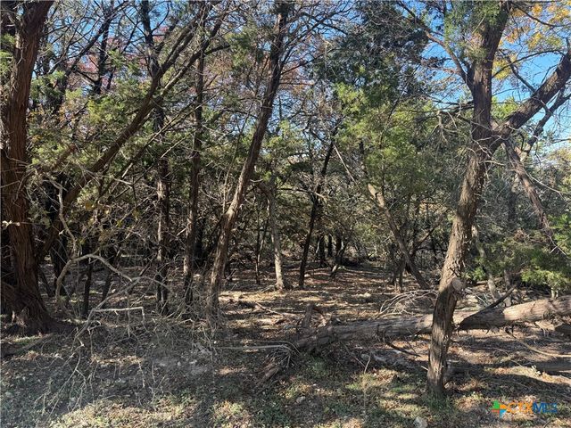 5982 Buggy Ride Road, Temple, TX 76502