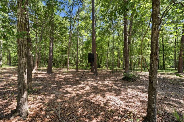 209 County Road 6324, Dayton, TX 77535