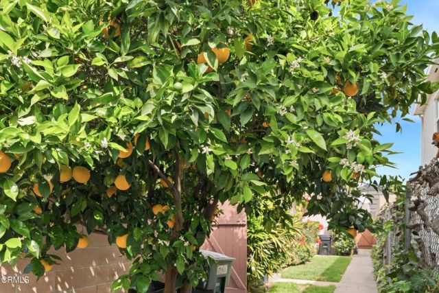 16 S Santa Anita Avenue, Arcadia, CA 91006