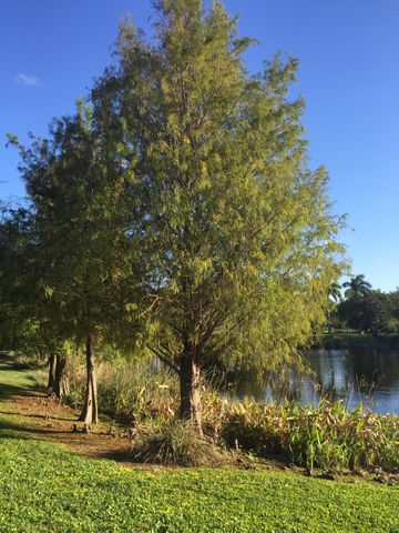 4045 Trovita Boulevard, Boynton Beach, FL 33436