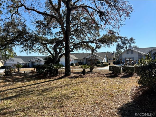 88 W Honey Palm Loop, Beverly Hills, FL 34465