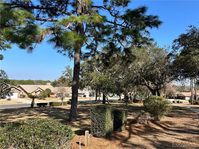 88 W Honey Palm Loop, Beverly Hills, FL 34465