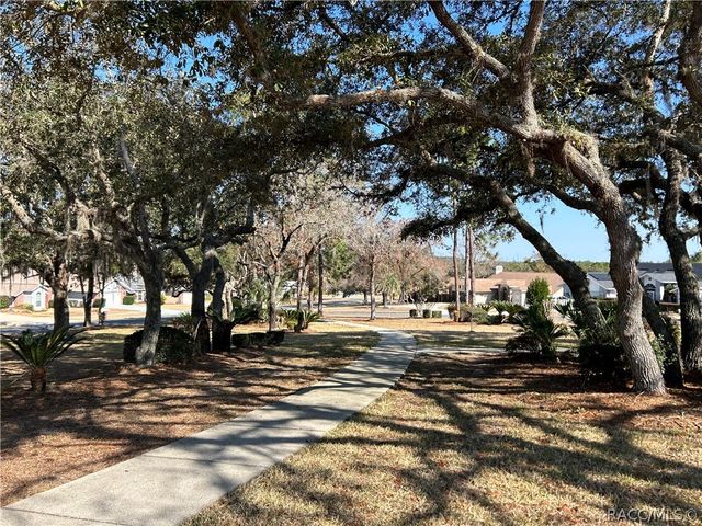 88 W Honey Palm Loop, Beverly Hills, FL 34465