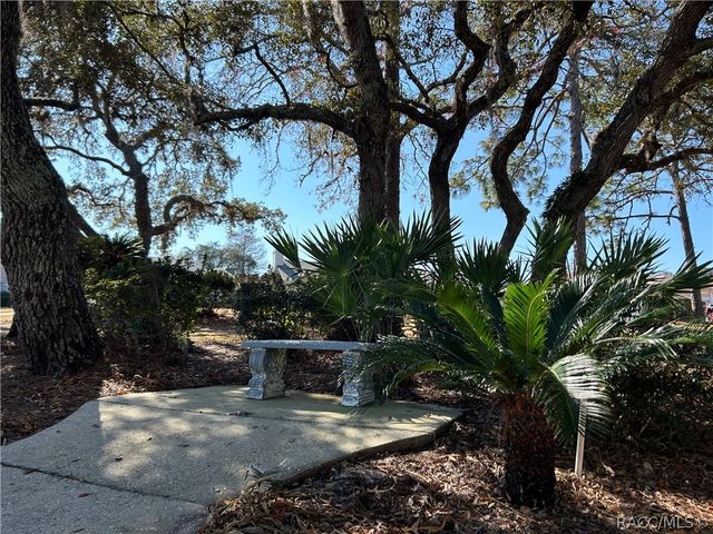 88 W Honey Palm Loop, Beverly Hills, FL 34465