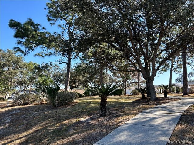 88 W Honey Palm Loop, Beverly Hills, FL 34465