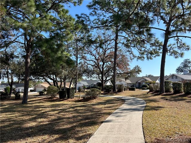 88 W Honey Palm Loop, Beverly Hills, FL 34465