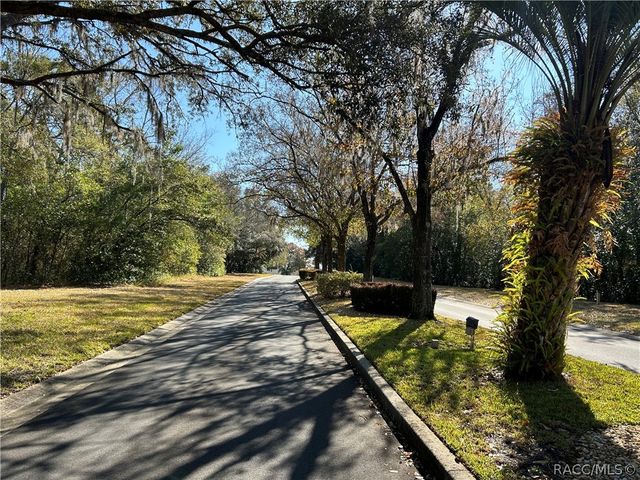 88 W Honey Palm Loop, Beverly Hills, FL 34465