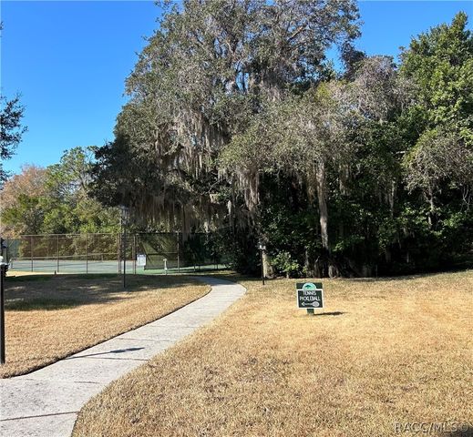 88 W Honey Palm Loop, Beverly Hills, FL 34465