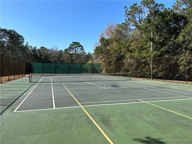 88 W Honey Palm Loop, Beverly Hills, FL 34465