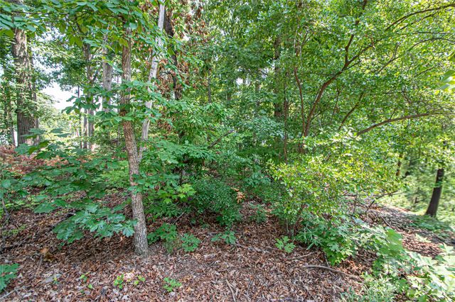 0 Sarah Drive 119, Denver, NC 28037