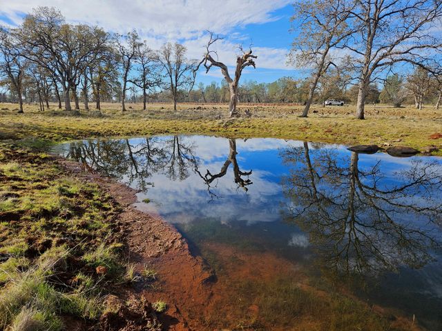 41 acres Ash Creek Road, Anderson, CA 96007