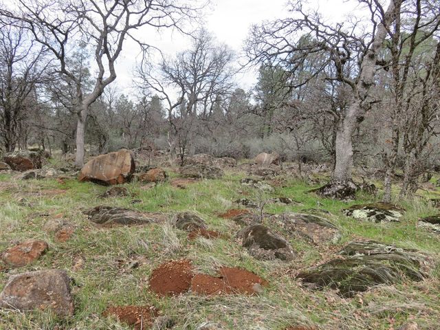 41 acres Ash Creek Road, Anderson, CA 96007