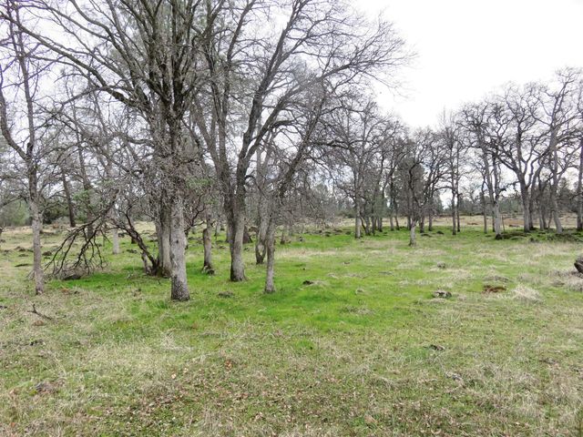 41 acres Ash Creek Road, Anderson, CA 96007
