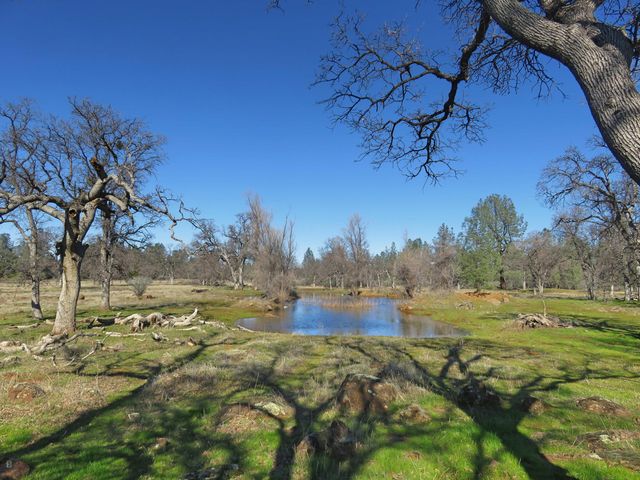 41 acres Ash Creek Road, Anderson, CA 96007